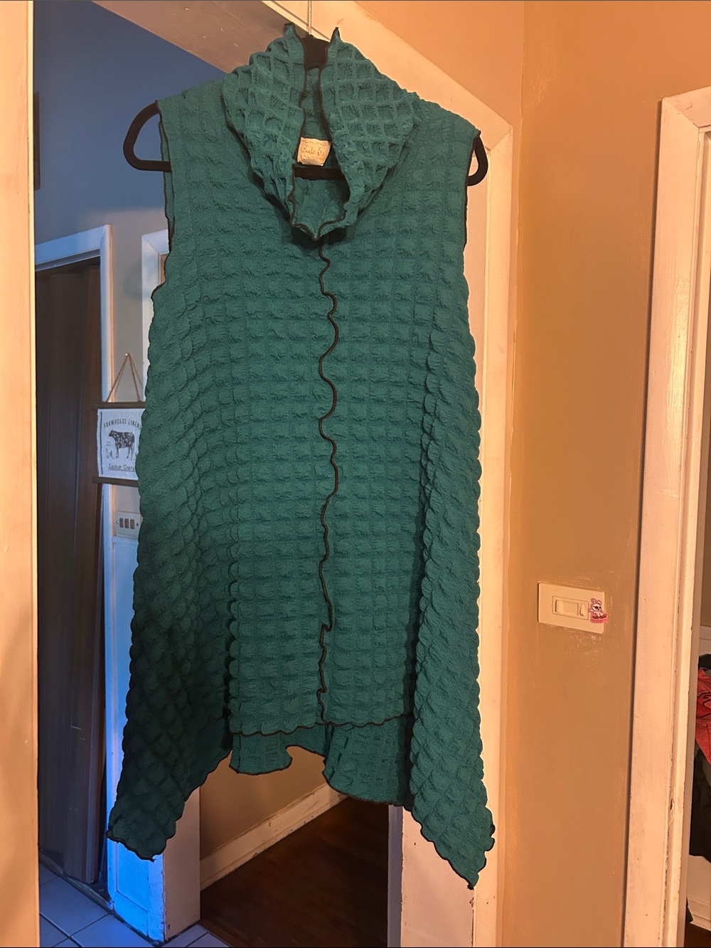 Zadie B’s sleeveless Textured Teal Tunic with Draped Cowl Neck